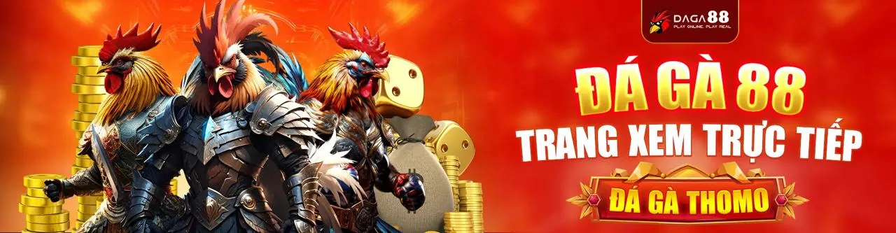 Đấu gà trực tuyến A8BET kịch tính
